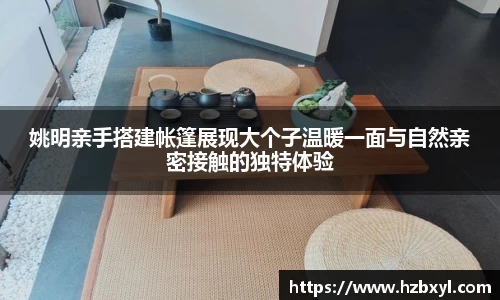 JJB竞技宝官网
